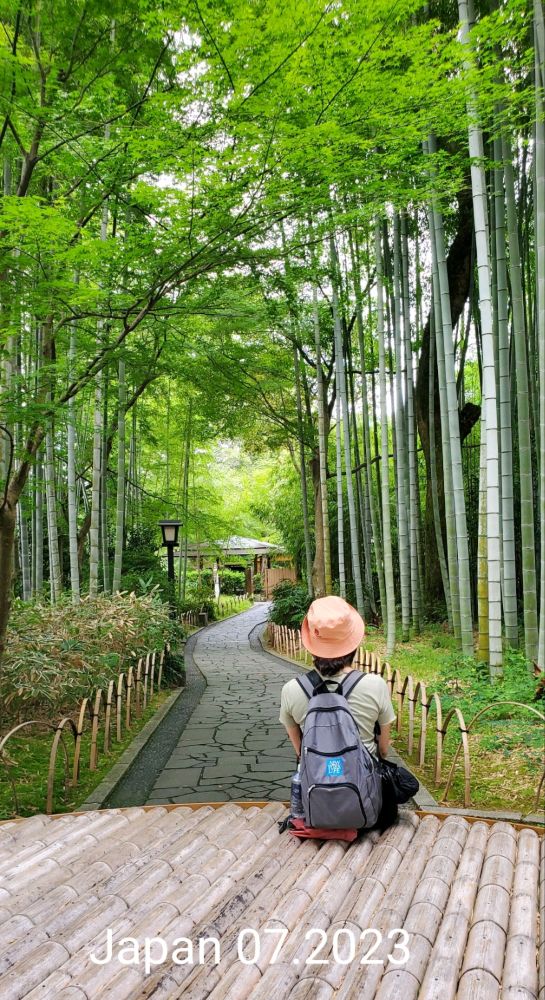Japan1